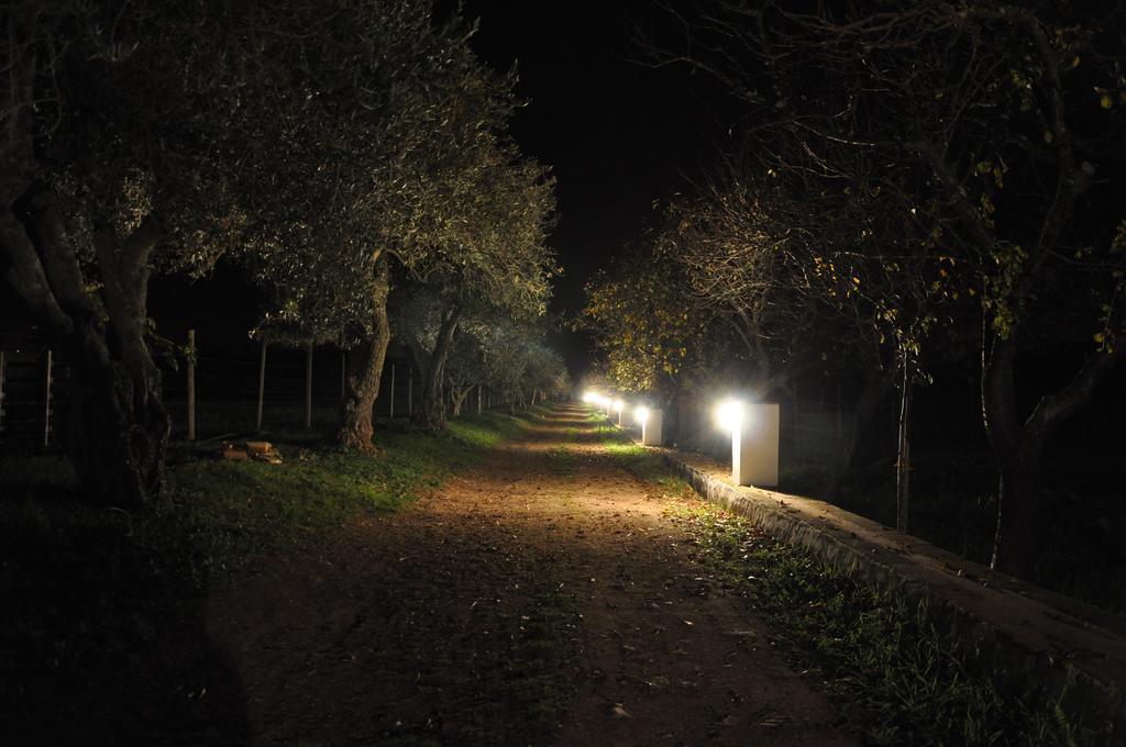 Quinta Da Sardinha Villa Elvas Eksteriør bilde